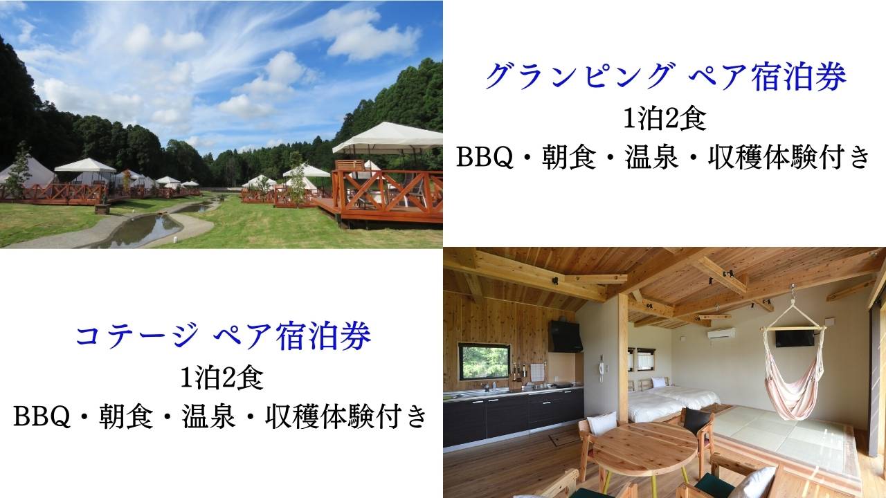 ふるさと納税