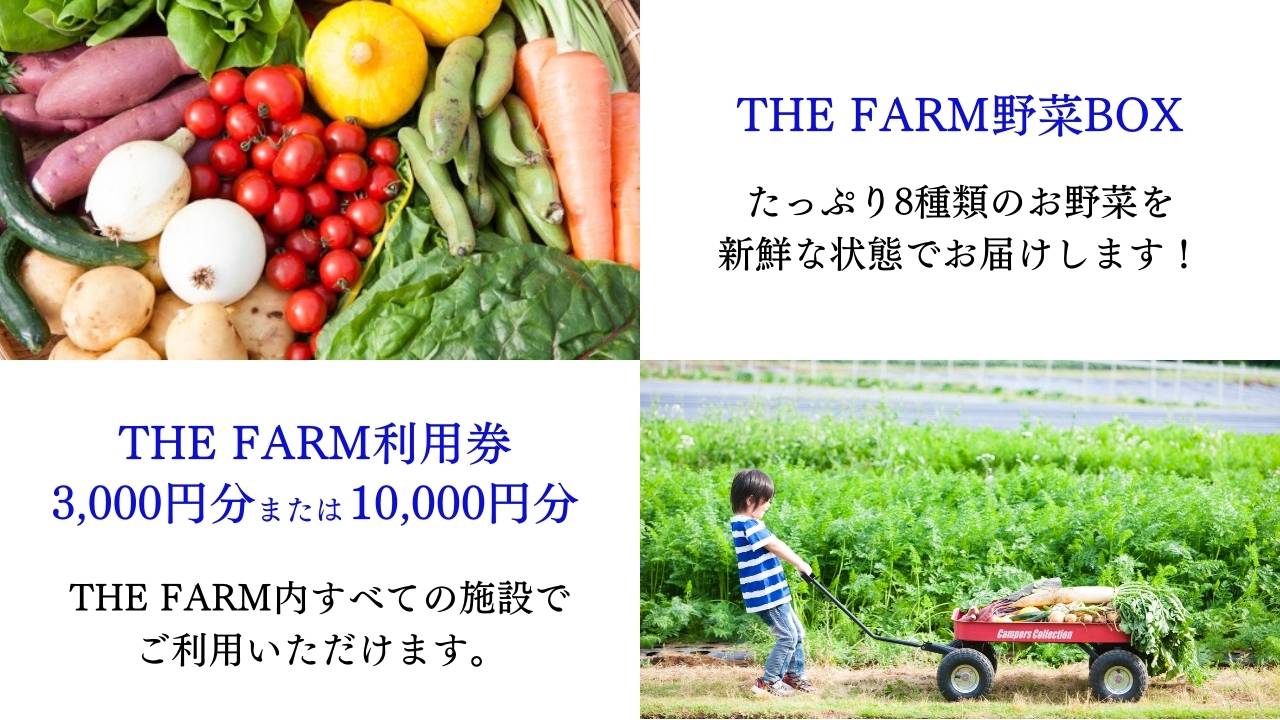 ふるさと納税