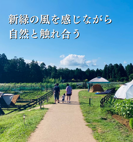 4月～5月のおすすめ