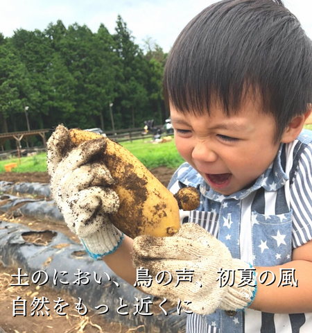 6月のおすすめ