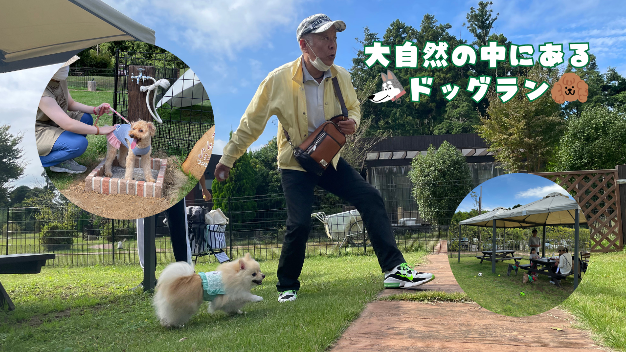 愛犬と過ごす