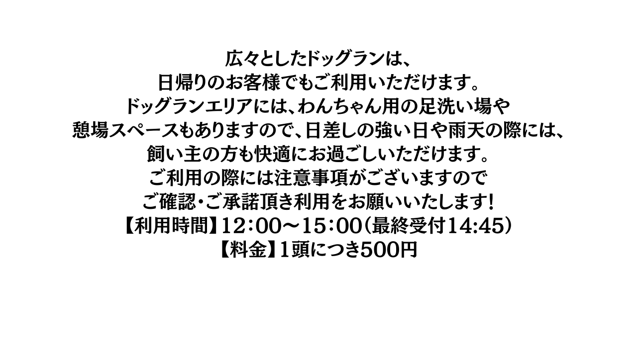 愛犬と過ごす