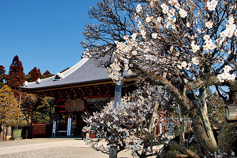 成田山新勝寺