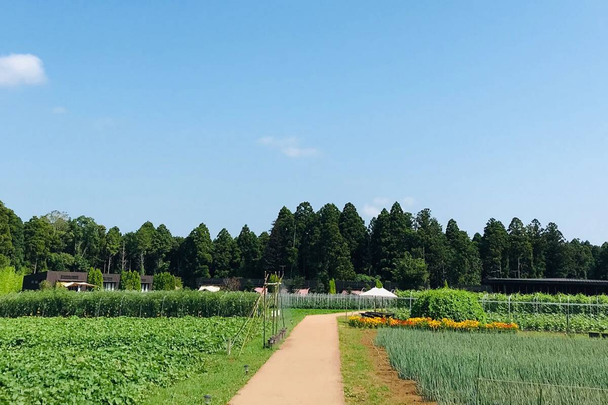 農園について