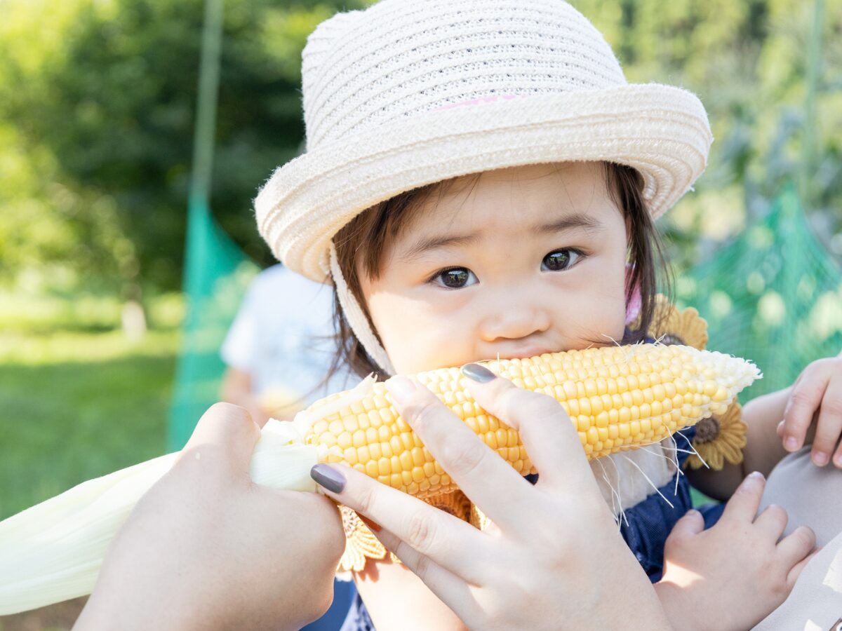 7月5日(土)、7月12日(土)、7月26日(土)THE FARM MEMBERSHIP(貸農園会員) 夏の無料見学会への参加募集中