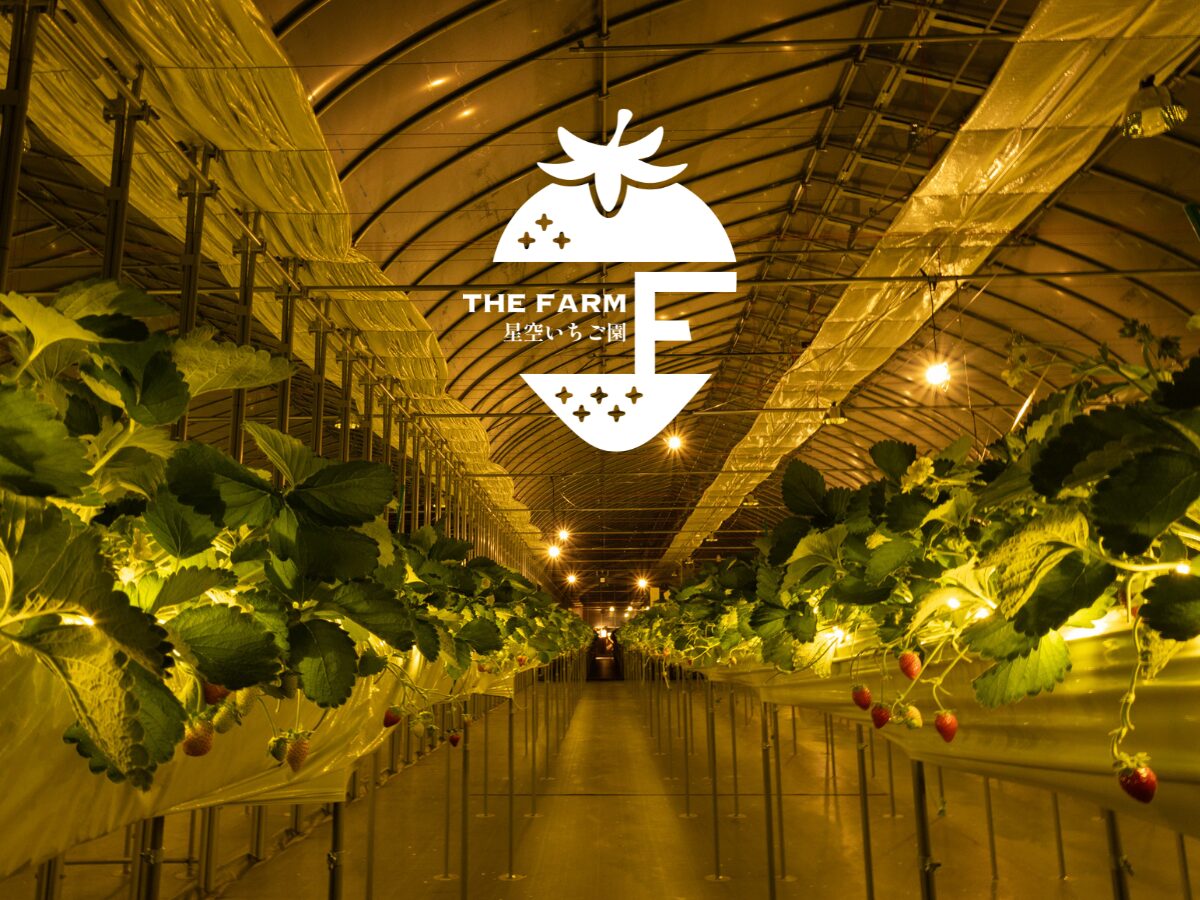 【プレスリリース】【房総の新スポット】年間33万人が訪れる農園リゾートが手掛ける「THE FARM星空いちご園」が2025年12月13日（土）オープン。 各メディアで話題の”ナイトいちご狩り”がさらに進化。
