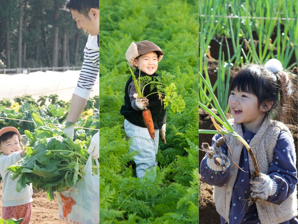 【参加無料】3/29・4/19・5/10開催｜貸農園会員(THE FARM MEMBERSHIP)見学会